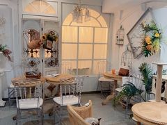 -共舞时光猫咖·狗咖(新街口店)