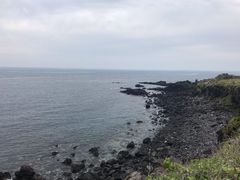 -涉地可支
