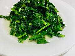 雞油豆苗-老吉士酒家(天平路店)