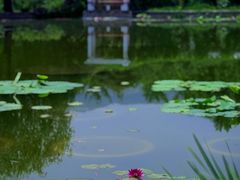 -国家植物园南园