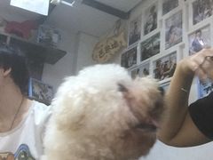 -严国平动物医院(德政总院)