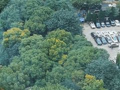 -裕和堂中医推拿艾灸(太古汇臻品店)