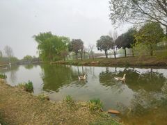 -西安浐灞国家湿地公园