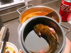 黄辣丁儿-壹小馆.皇城老妈(成都太古里店)