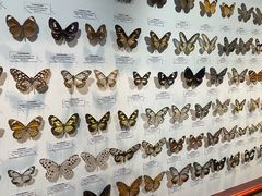 -吉林省自然博物馆
