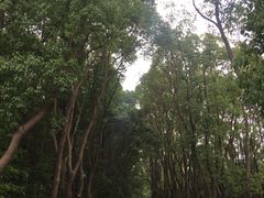 -同里国家湿地公园