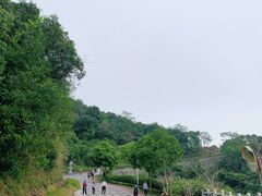-火炉山森林公园
