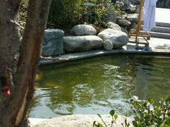 -楼观道温泉酒店
