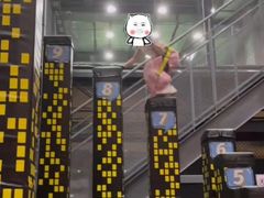 -运动派(北京店)