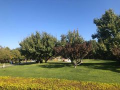 -春晖园度假酒店温泉