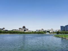 -莲花池公园