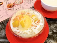 杨枝甘露雪球-玫瑰甜品(文明路店)