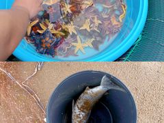 -前王院•巧克力海鲜市集餐厅(万平口店)