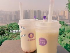 -一只酸奶牛(八一路店)