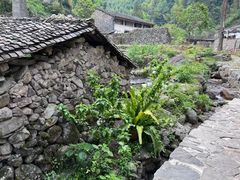 -MOJ coffee(瓯海泽雅水碓坑店)