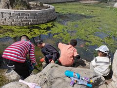 -白水寺森林公园