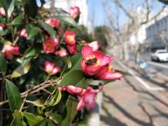 -中共上海市委党校 上海行政学院