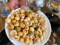 -鲜菌江湖正宗野生菌火锅