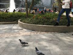 -翠华餐厅(香港国际机场店)