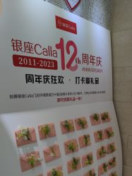-银座Calla日式美容沙龙