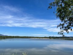 -野鸭湖国家湿地公园