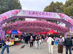 -南汇桃花村