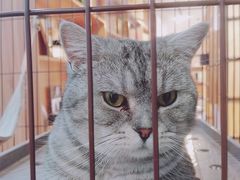 -金谷里艺术馆