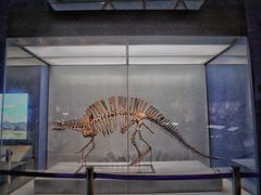 -湖南省地质博物馆