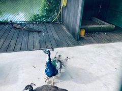-太极禅苑