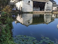 -东梓关景区村庄