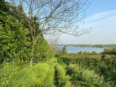 -南京金牛湖风景区