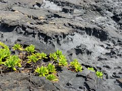 -夏威夷火山国家公园