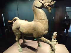 -广西壮族自治区博物馆