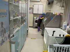 -北京观赏动物医院·24小时大型综合·猫专科·异宠专科