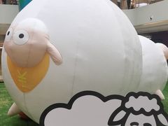 -阳光天地