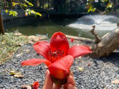-荔湾湖公园