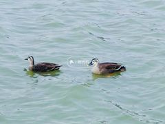 -海珠湖公园