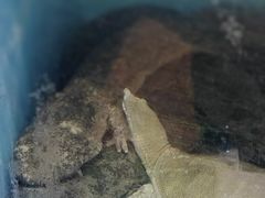 -潮喜竹溪荔湖酒家(荔枝湾店)