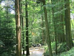 -东明山森林公园