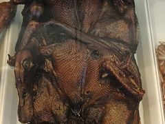 -冷记卤品(环湖中路店)