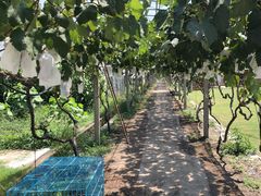 -美家乐农庄·露营·团建(大治路店)