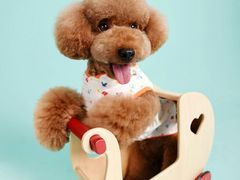 -怡莱酒店(青州宋城古城景区店)