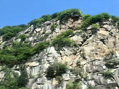 -王顺山国家森林公园