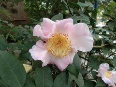 -火炉山森林公园