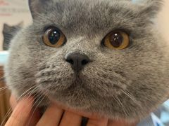 -芭比堂动物医院·犬猫全科·异宠专科(雁塔分院)