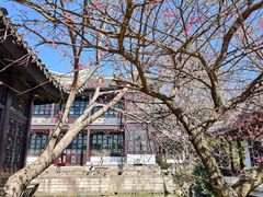 -木子山庄·安徽省老字号·中国炖锅宴