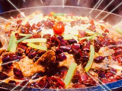 -老板恋上鱼(恒隆广场店)