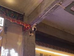 -歪火锅(宝光寺店)