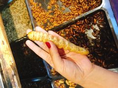 -昆虫窝子·特色云南菜(拓东路总店)