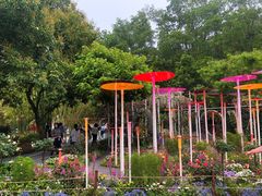 景点-深圳仙湖植物园